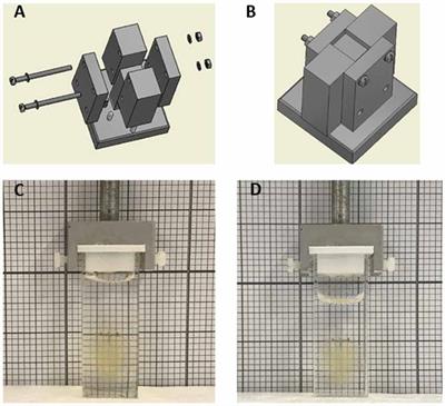 Tailored Sample Mounting for Light-Sheet Fluorescence Microscopy of Clarified Specimens by Polydimethylsiloxane Casting